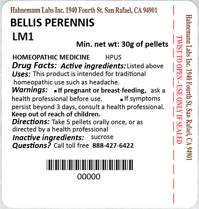 Bellis Perennis LM1 30g