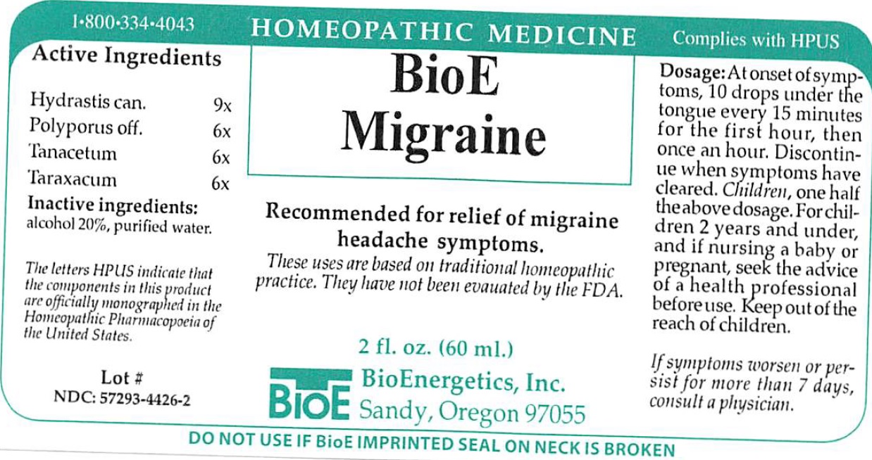 BioE Migraine
