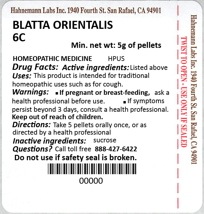 Blatta Orientalis 6C 5g