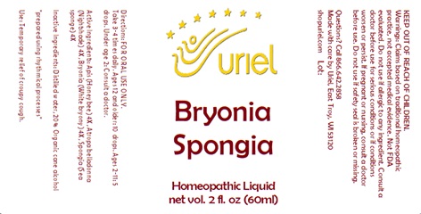 Bryonia Spongia Liquid