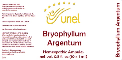 Bryophllum Argentum Ampules