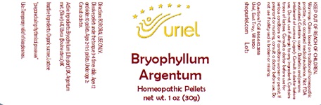 Bryophyllum Argentum Pellets
