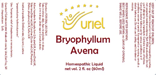 Bryophyllum Avena Liquid
