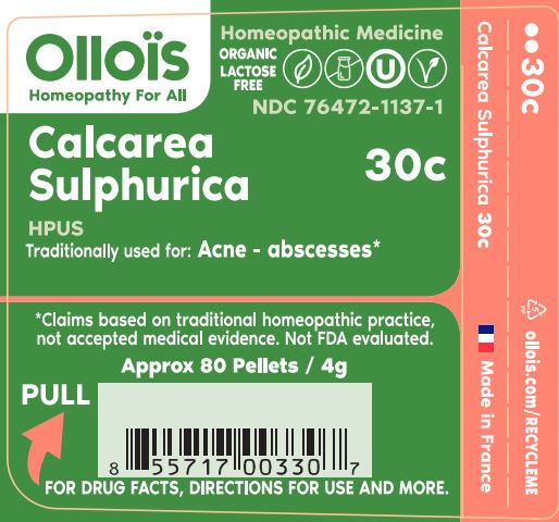 CALCAREA SULPHURICA 30c P1