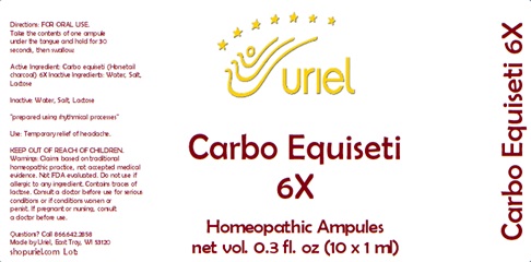 Carbo Equiseti 6X Ampules