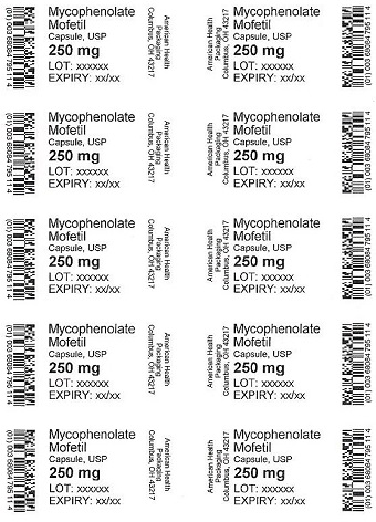 250 mg Mycophenolate Mofetil Capsule Blister