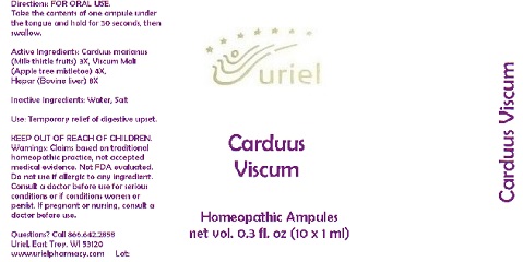 CarduusViscumAmpules