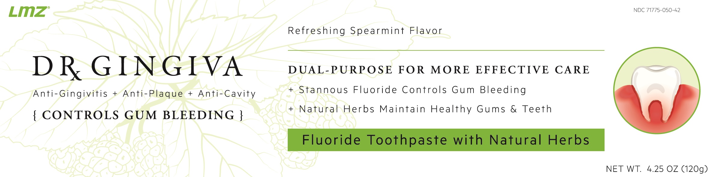 Dr. Gingiva | Fluoride Toothpaste With Natural Herbs Paste while Breastfeeding