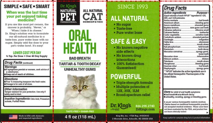 Cat Oral health.jpg