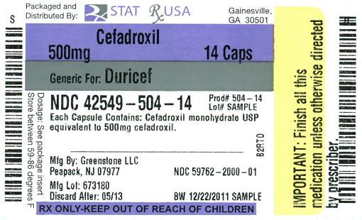 Cefadroxil 500 mg Label Image