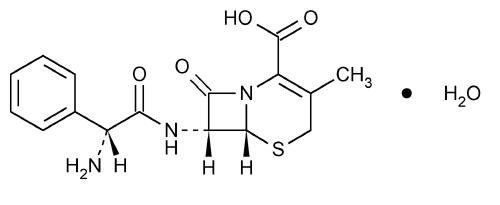 cephalexin structural formula