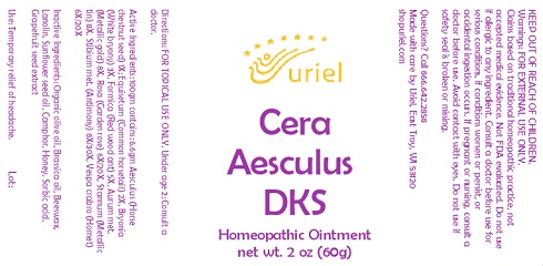 Cera Aesculus DKS
