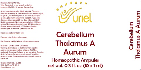 Cerebellum Thalamus A Aurum Ampules