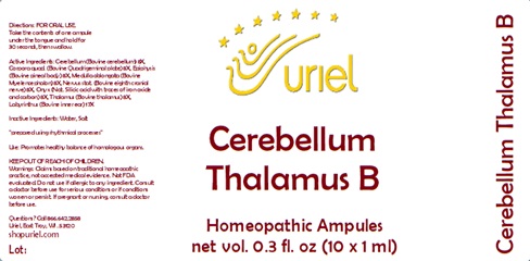 Cerebellum Thalamus B Ampules