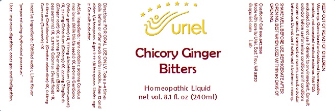 Chicory Ginger Bitters Liquid.