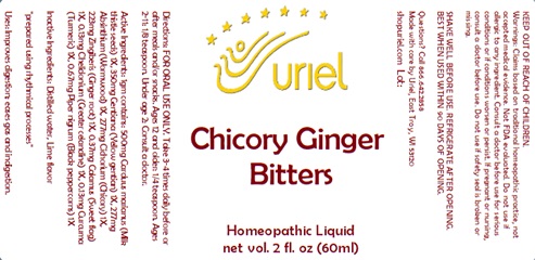 Chicory Ginger Bitters Liquid