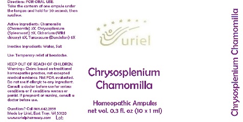 ChrysospleniumChamomillaAmpules
