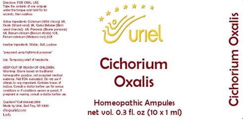 Cichorium Oxalis Ampules