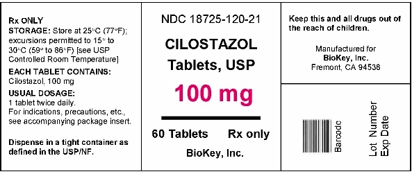 PRINCIPAL DISPLAY PANEL - 100 mg Tablet Bottle Label