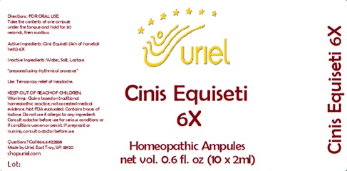 Cinis Equiseti 6X Ampules
