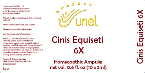 Cinis Equiseti 6X Ampules