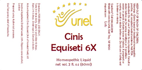 Cinis Equiseti 6X Liquid