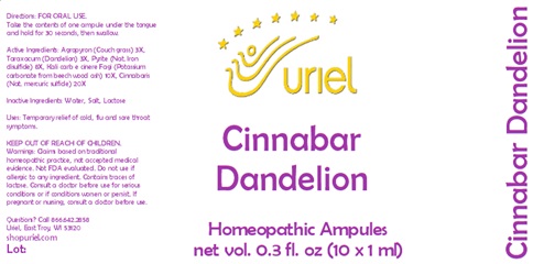 Cinnabar Dandelion Ampules