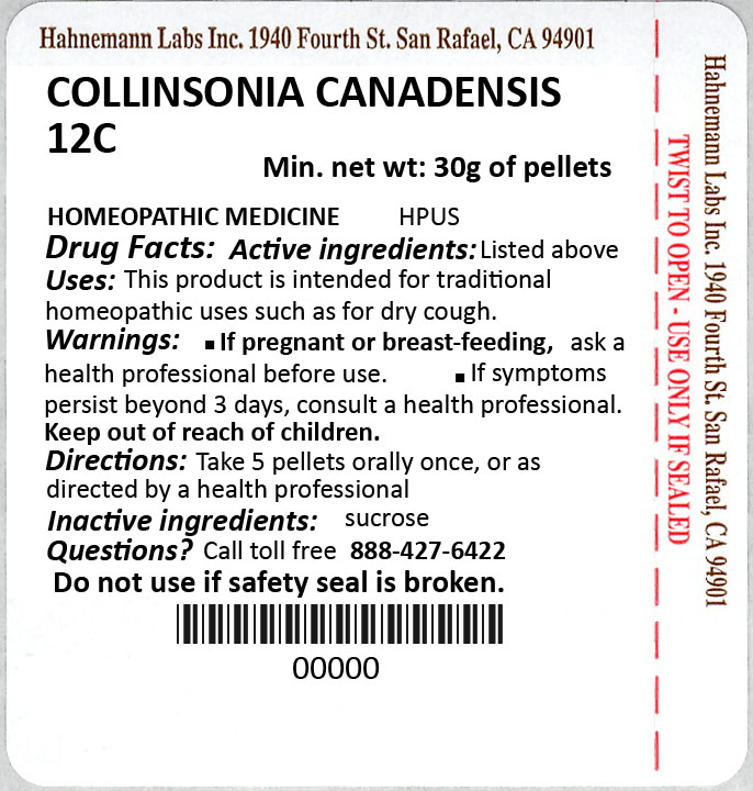 Collinsonia Canadensis 12C 30g