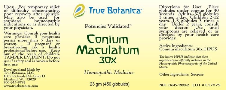 Conium Maculatum 30X