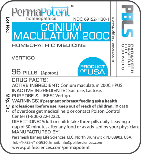 Conium maculatum 200C
