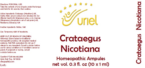 Crataegus Nicotiana Ampules