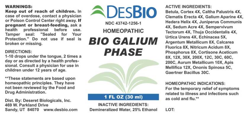 Bio Galium Phase