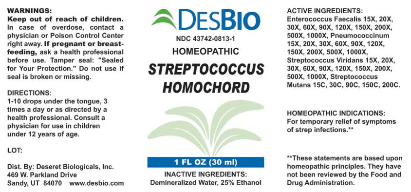 Streptococcus Homochord