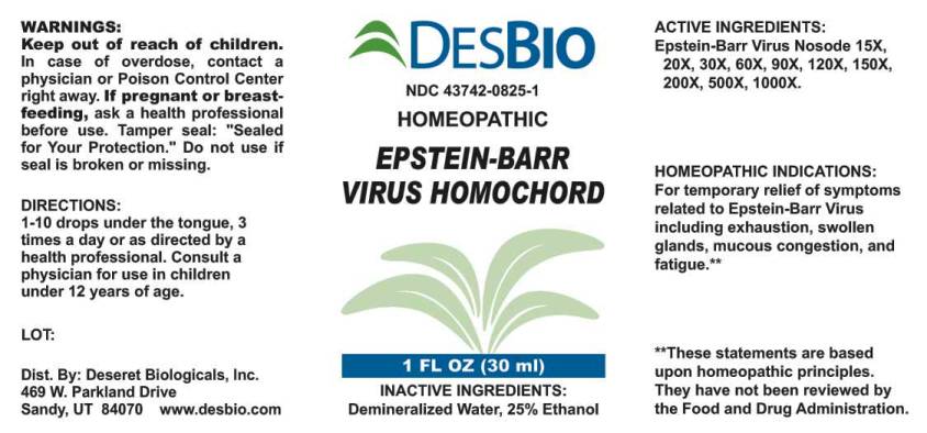 Epstein-Barr Virus Homochord