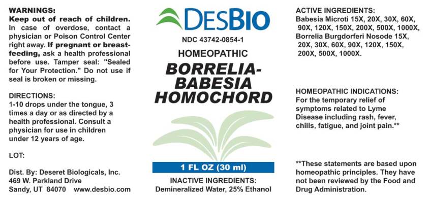 Borrelia-Babesia Homochord