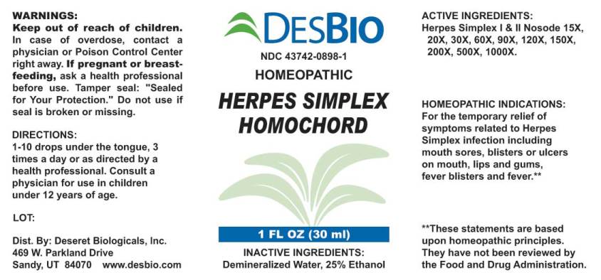 Herpes Simplex Homochord