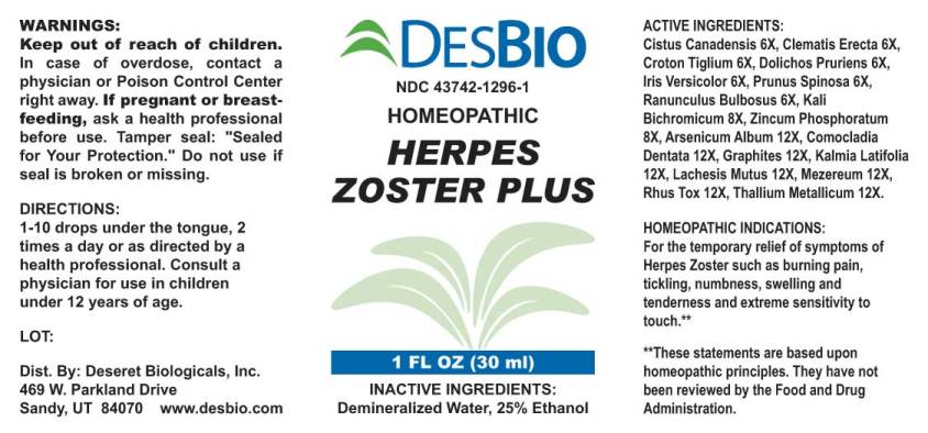 Herpes Zoster Plus