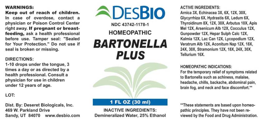 Bartonella Plus