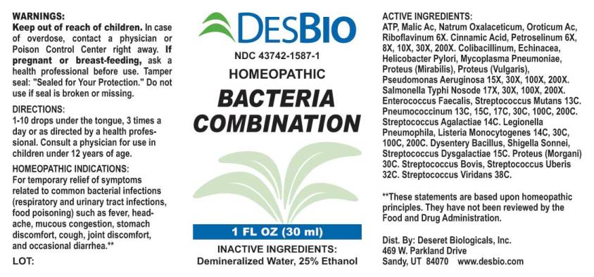 Bacteria Combination
