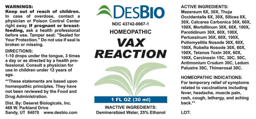Vax Reaction