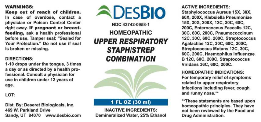 Upper Respiratory Staph Strep Combination