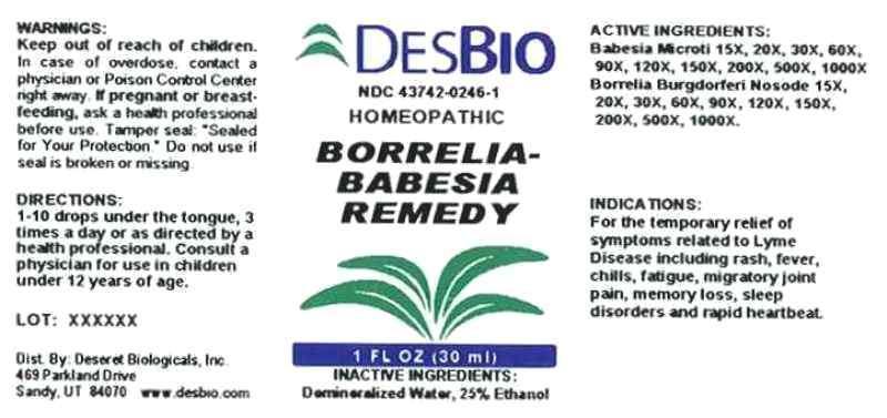 Borrelia Babesia Remedy