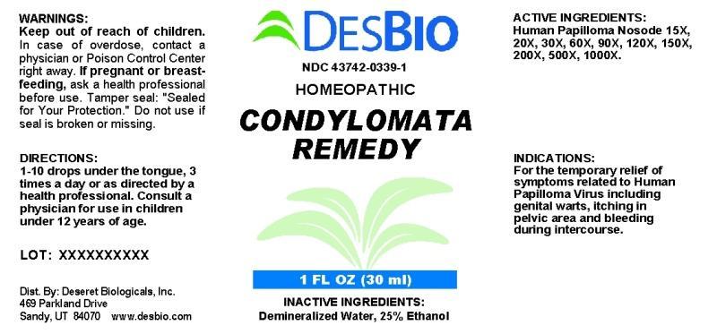 Condylomata Remedy