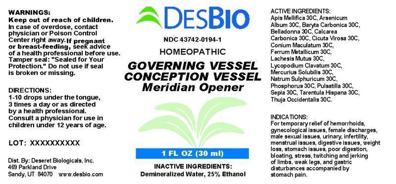 Governing Vessel Conception Vessel MO