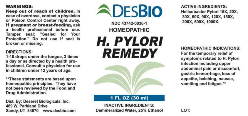 H. Pylori Remedy