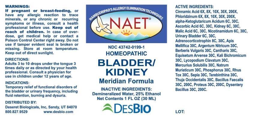 Bladder Kidney