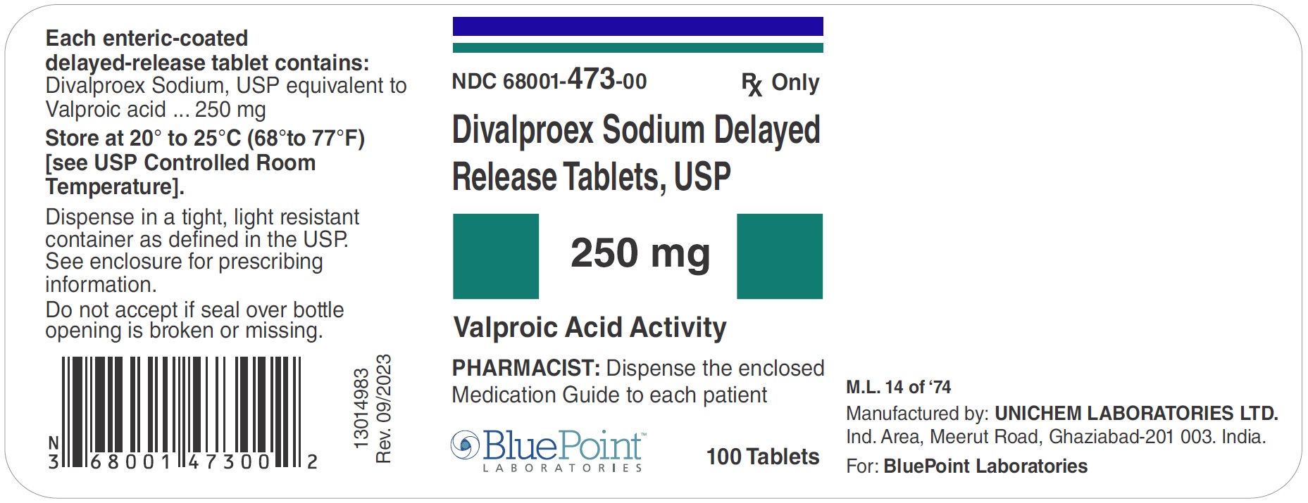Divalproex DR Tablets 250mg 100s Label Rev 09-2023