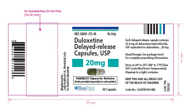 Duloxetine DR Capsules, USP 20mg 60s Rev0417