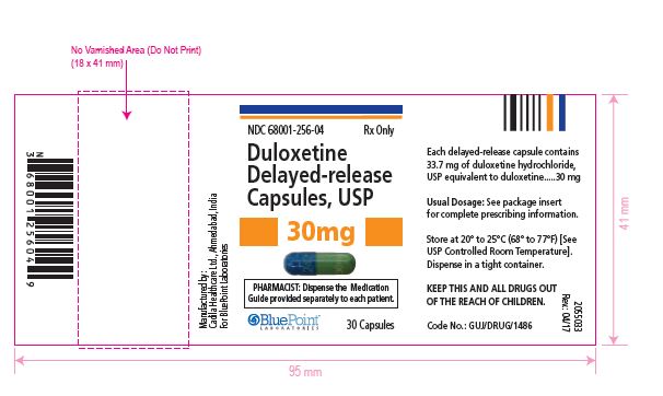 Duloxetine DR Capsules, USP 30mg 30s Rev0417