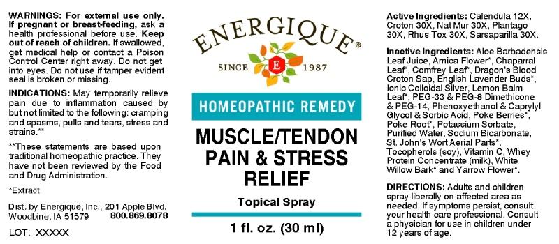 Muscle/Tendon Pain and Stress Relief